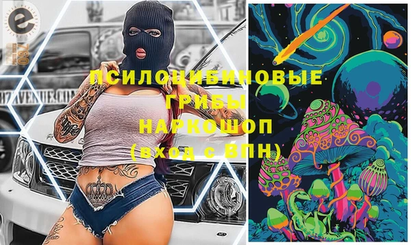 молекула духа Алексин