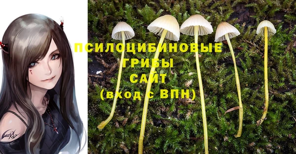 Альфа ПВП Алексеевка