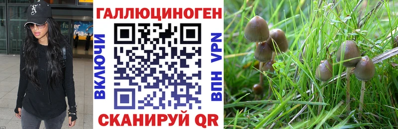 Галлюциногенные грибы Magic Shrooms  хочу наркоту  Челябинск 