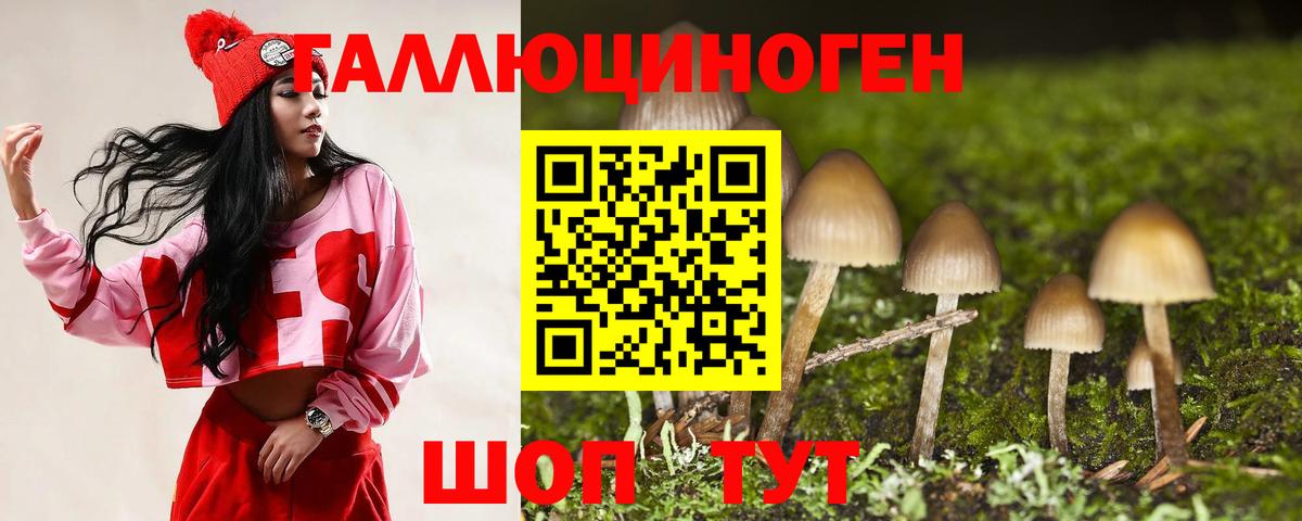 Псилоцибиновые грибы Psilocybe  Вход с VPN  Челябинск 